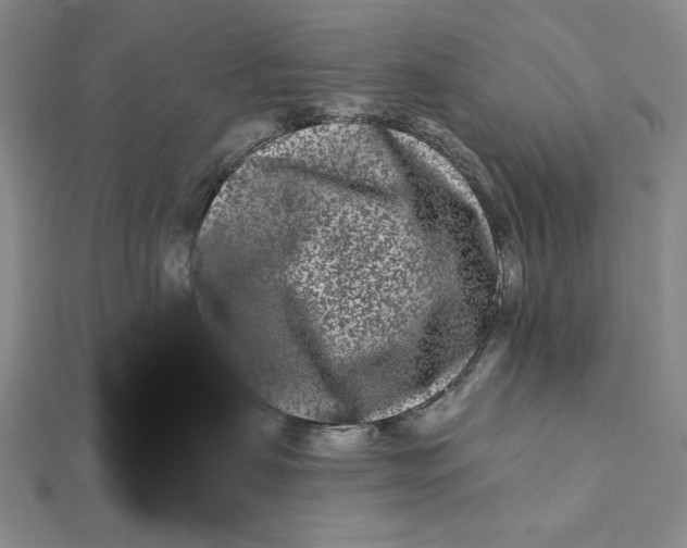 X0000112060479200908251025