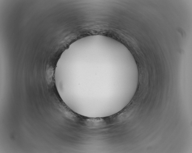 X0000112060480200908251025