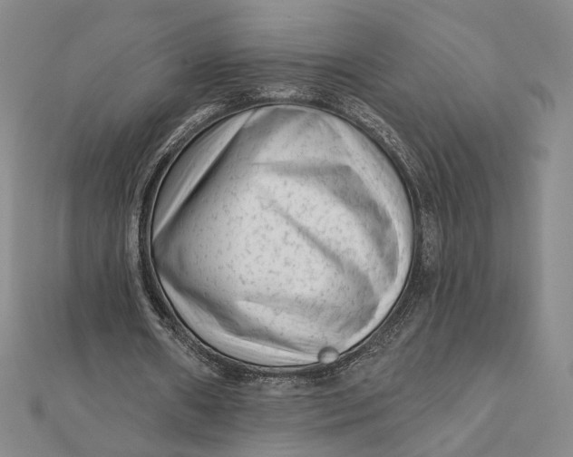 X0000112060482200908251024