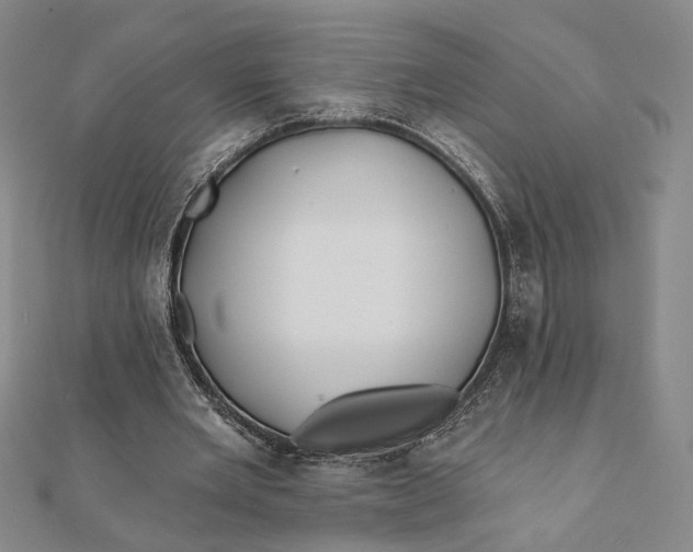 X0000112060485200908251024