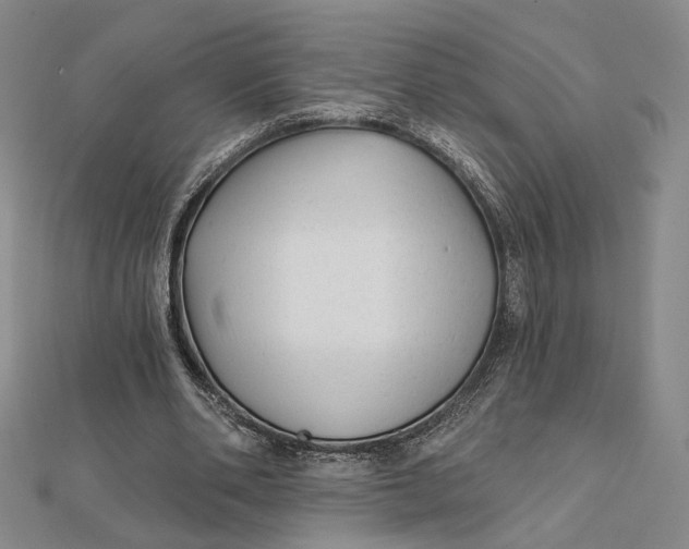 X0000112060486200908251024