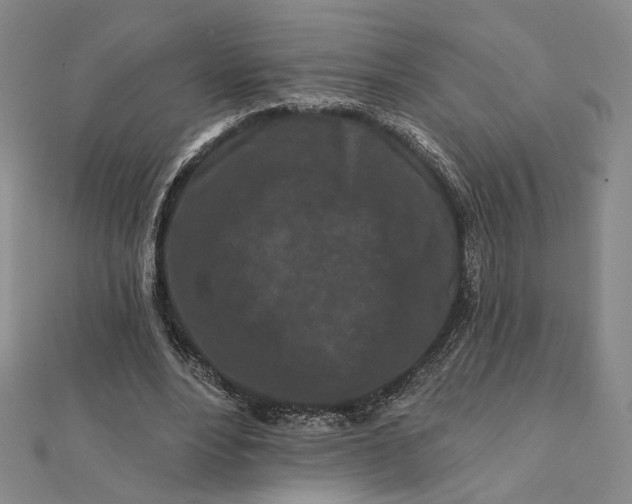 X0000112060488200908251024