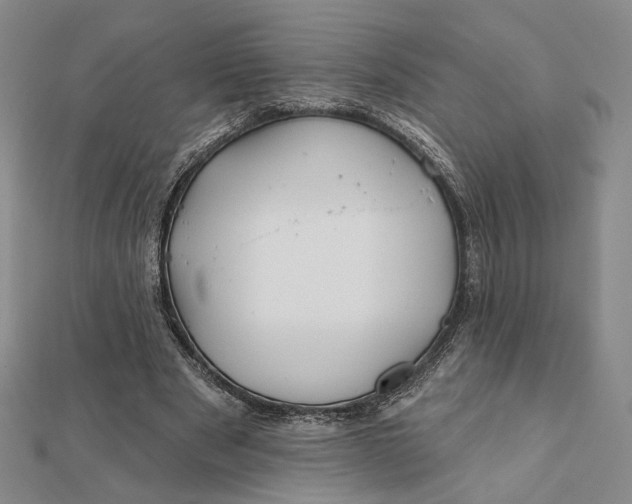 X0000112060489200908251024