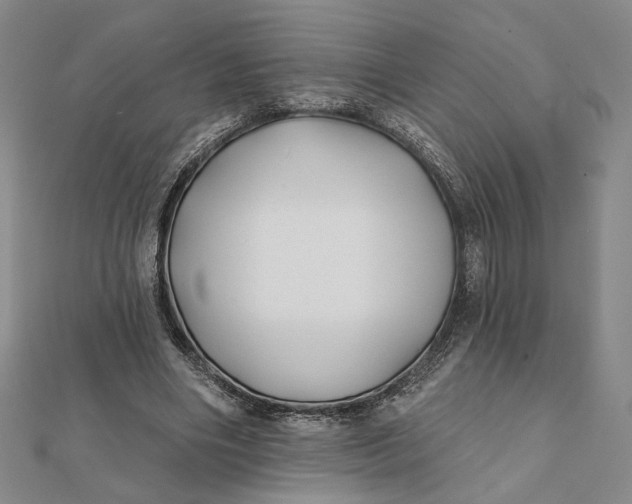 X0000112060490200908251024