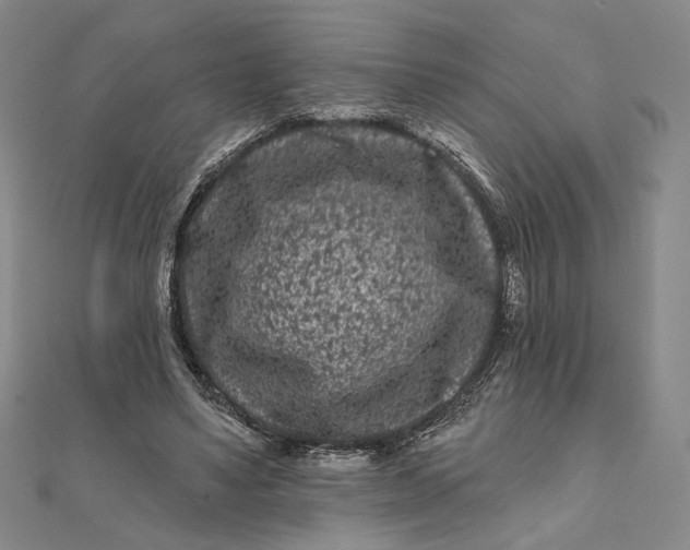 X0000112060491200908251024