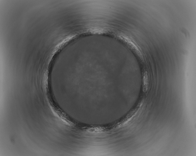 X0000112060492200908251024