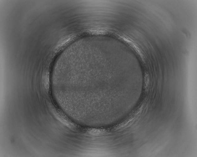 X0000112060494200908251024