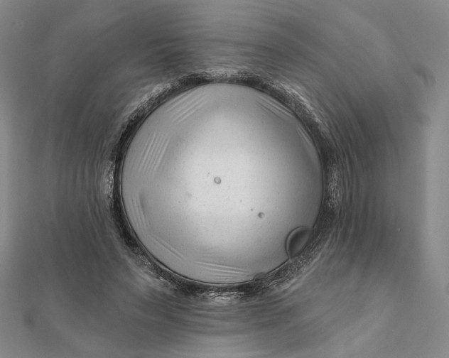 X0000112060495200908251024