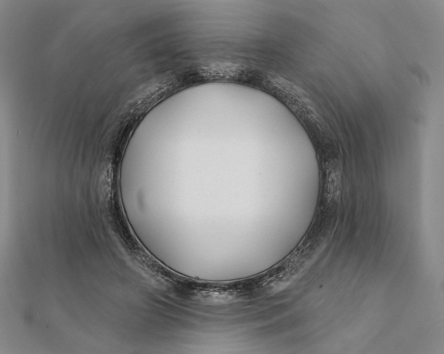 X0000112060498200908251024