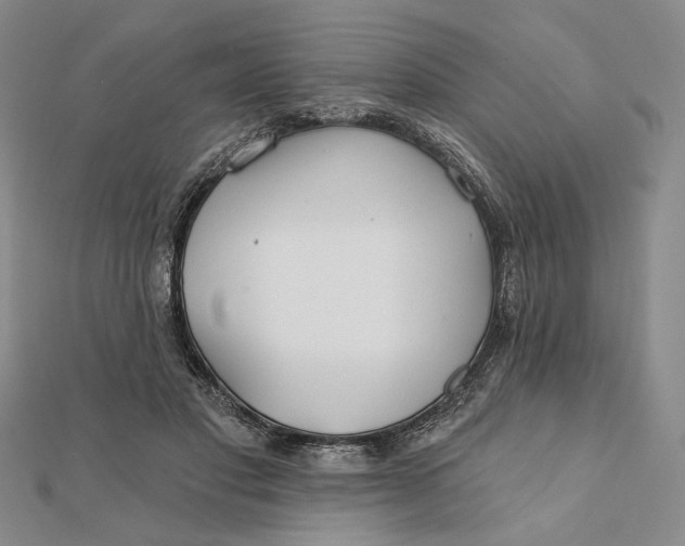 X0000112060501200908251024