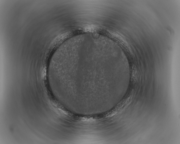 X0000112060502200908251024