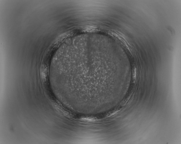 X0000112060503200908251024