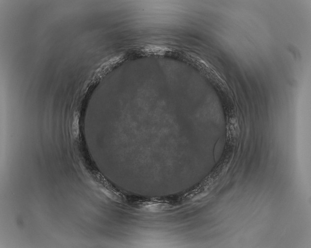 X0000112060504200908251024