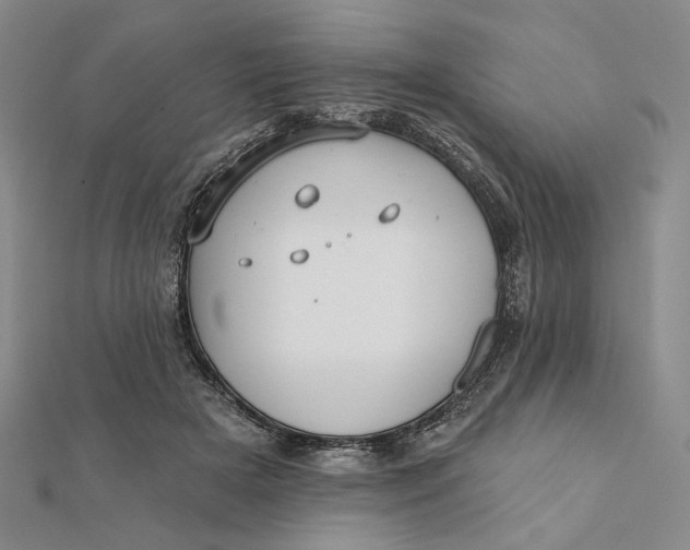 X0000112060505200908251024