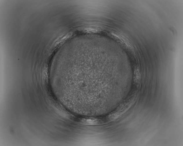 X0000112060506200908251024