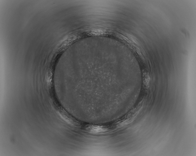 X0000112060507200908251024