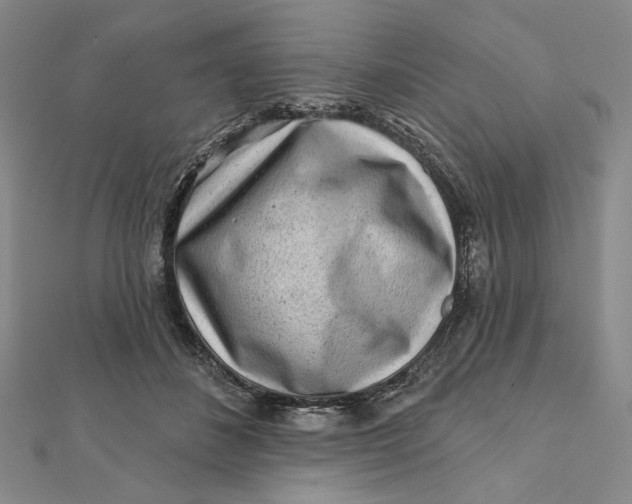 X0000112060508200908251024