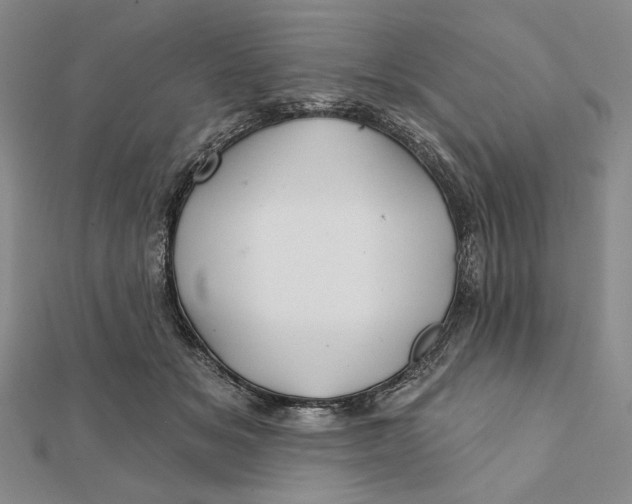 X0000112060509200908251024