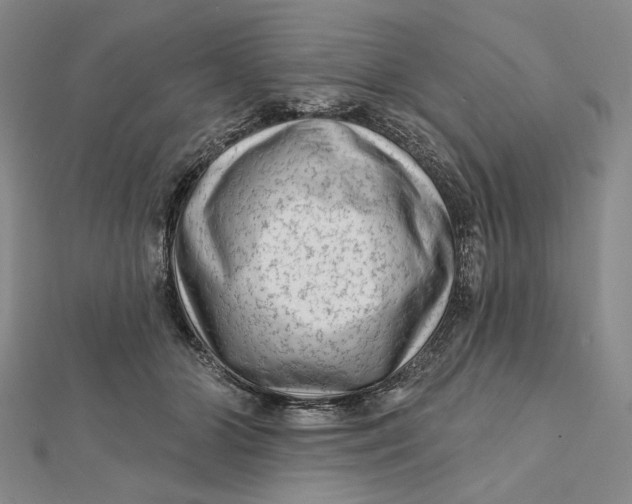 X0000112060510200908251024