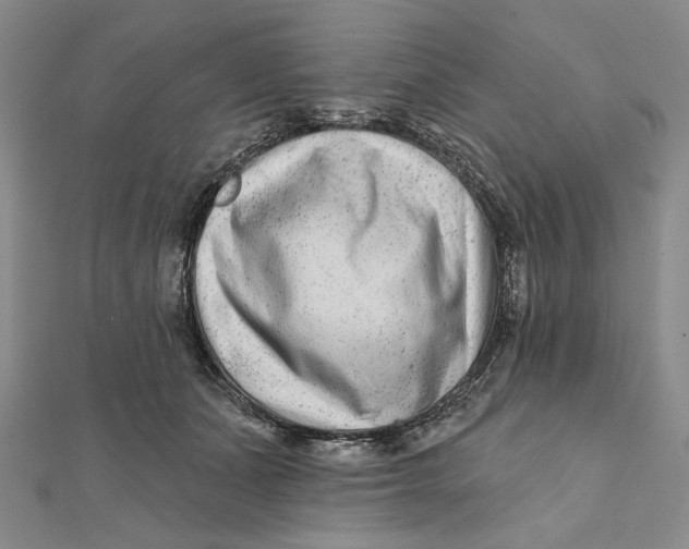 X0000112060511200908251024