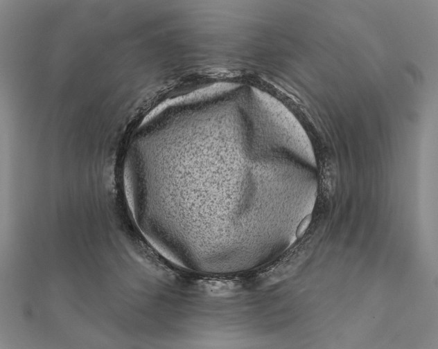 X0000112060512200908251024