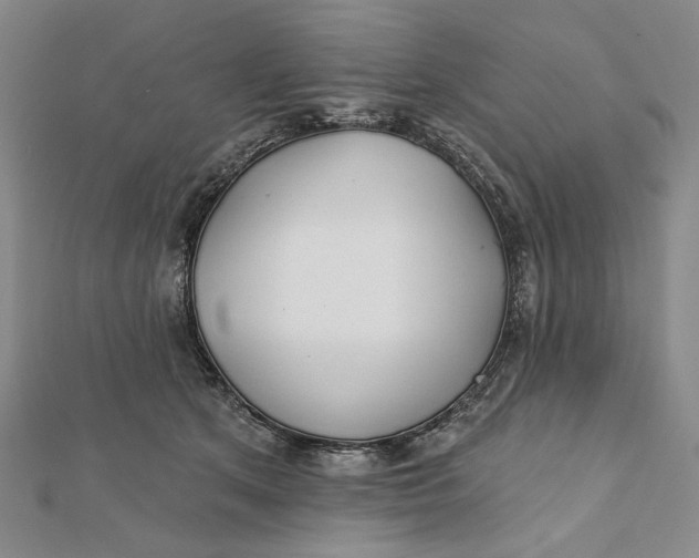 X0000112060513200908251024