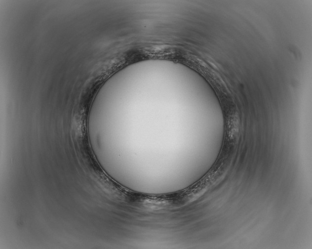 X0000112060515200908251024