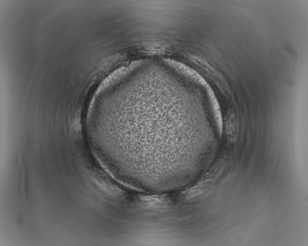 X0000112060516200908251024