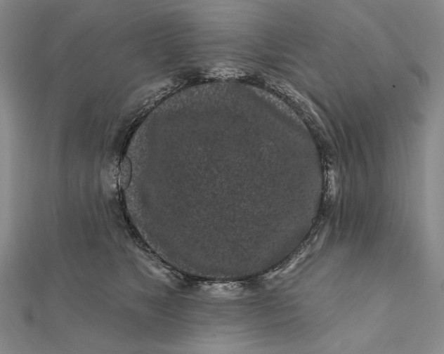 X0000112060517200908251024