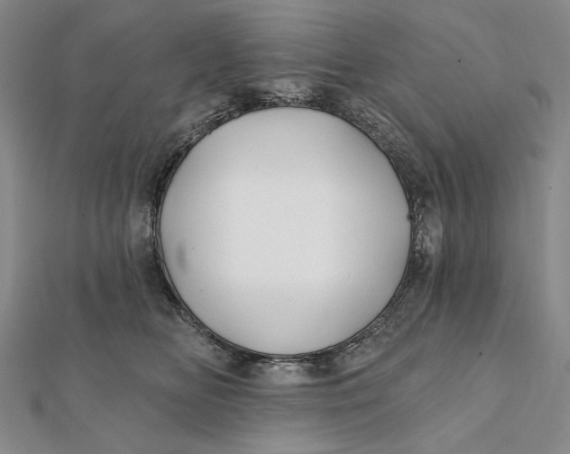 X0000112060518200908251024