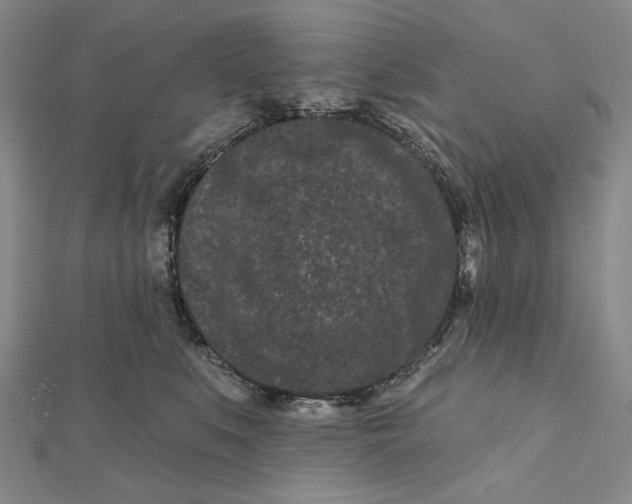 X0000112060519200908251024