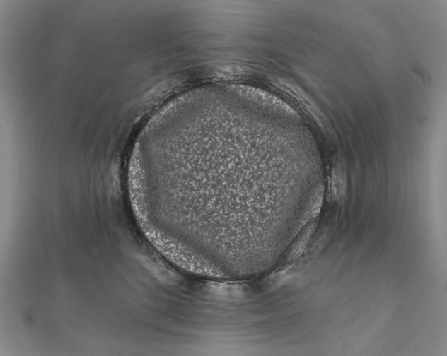 X0000112060520200908251024