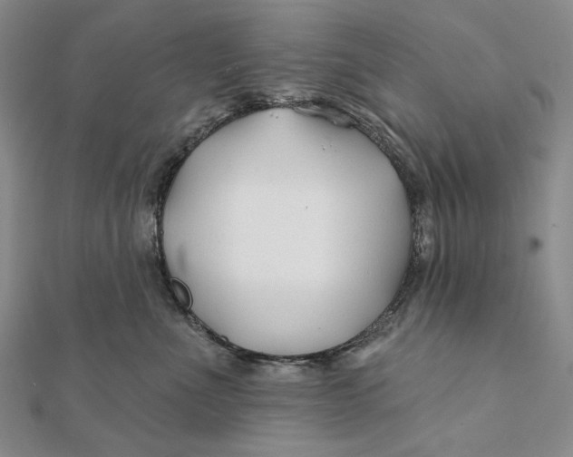 X0000112060523200908251024