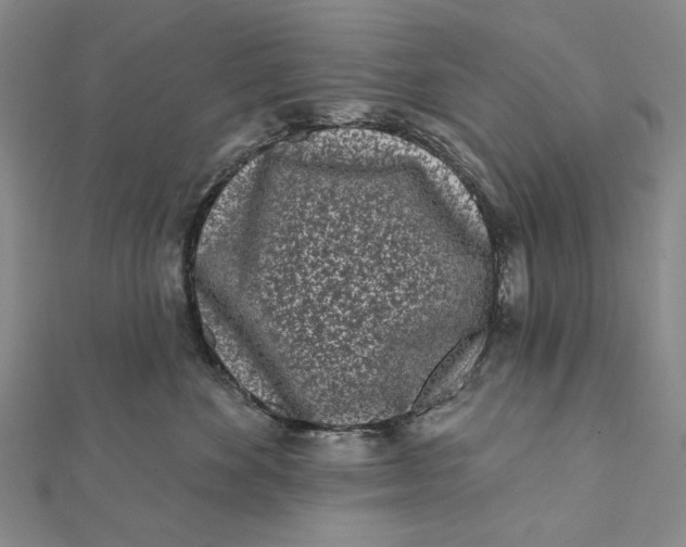 X0000112060524200908251023