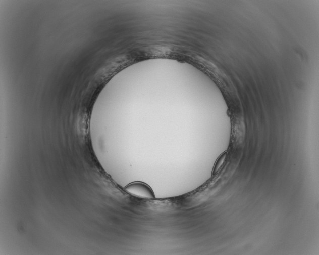 X0000112060525200908251023