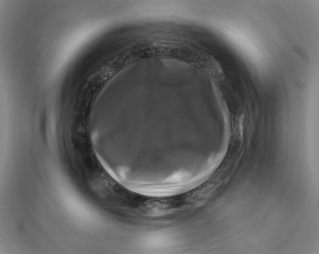 X0000112060526200908251023