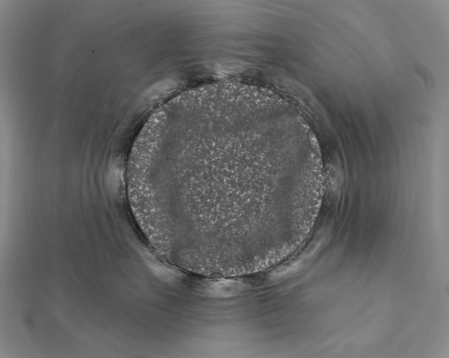 X0000112060527200908251023