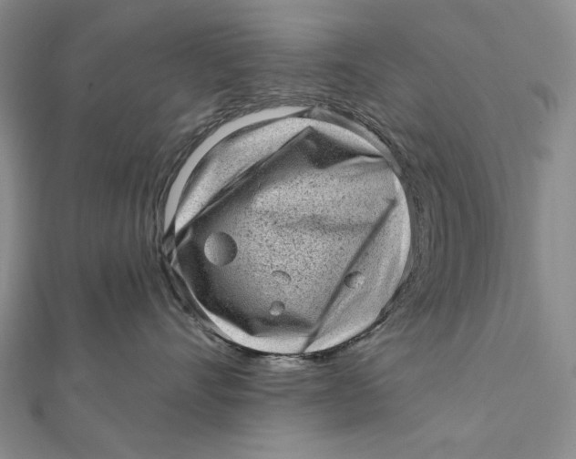 X0000112060528200908251023