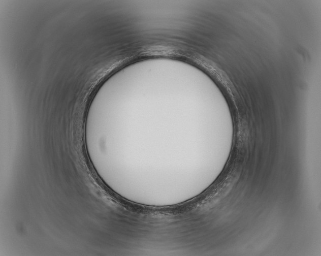 X0000112060529200908251023