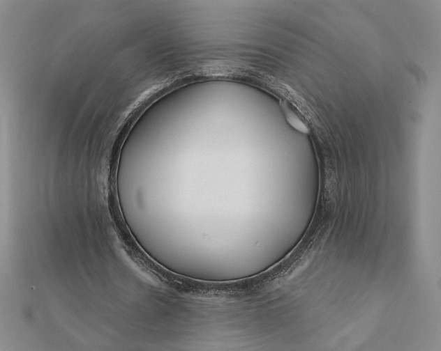 X0000112060530200908251023