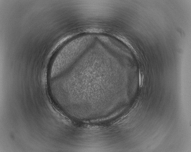 X0000112060531200908251023