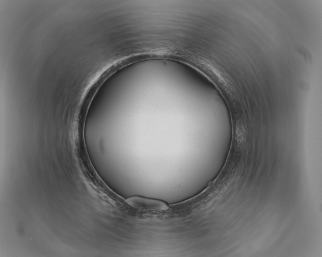 X0000112060532200908251023