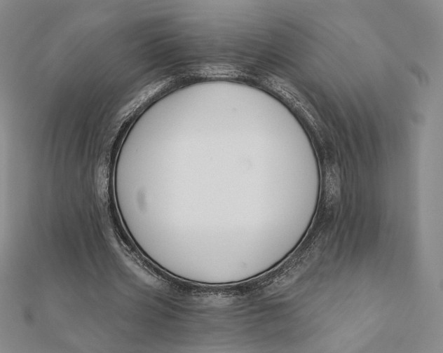 X0000112060533200908251023