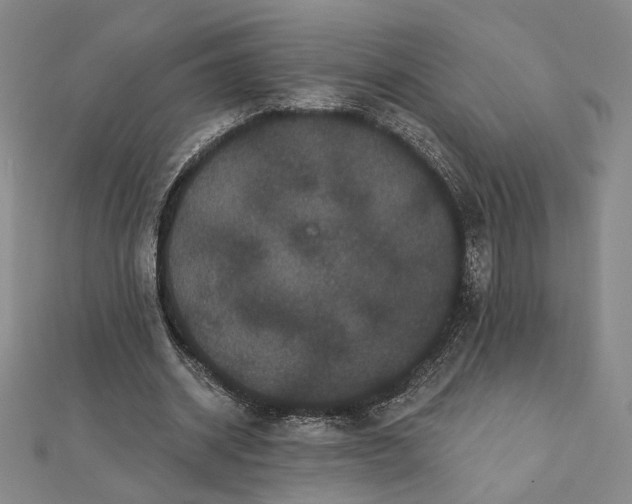 X0000112060534200908251023