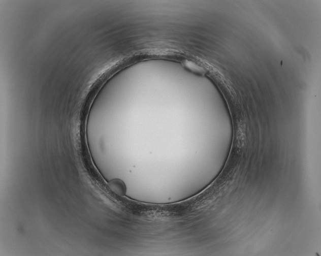 X0000112060535200908251023