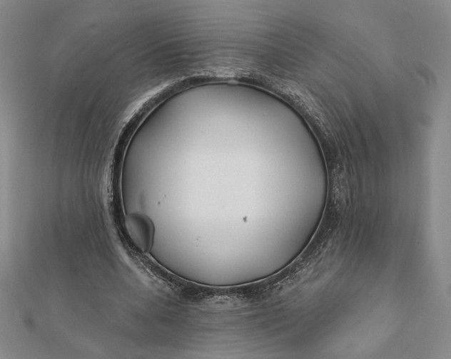 X0000112060536200908251023