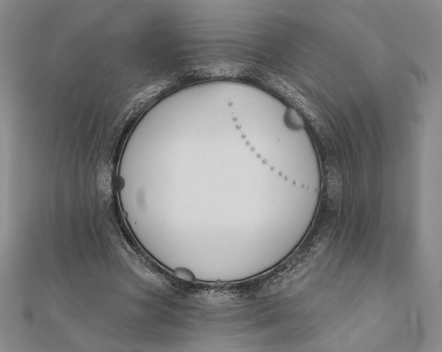 X0000112060537200908251023