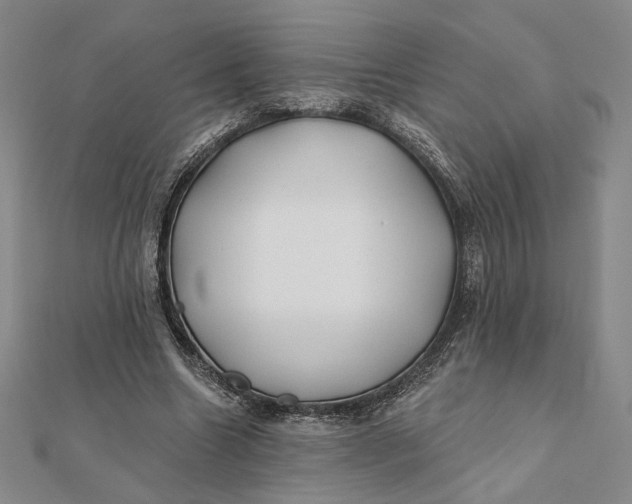 X0000112060538200908251023