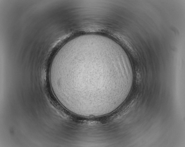 X0000112060539200908251023