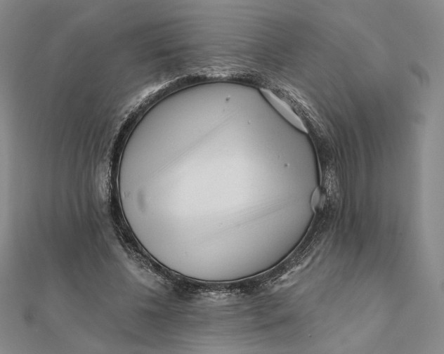 X0000112060540200908251023